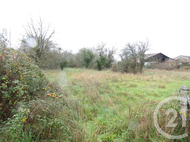 Afficher la photo en grand terrain à vendre - 2130.0 m2 - BRIEUIL SUR CHIZE - 79 - POITOU-CHARENTES - Century 21 I.C.S. Immobilier