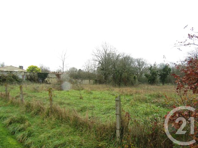 Afficher la photo en grand terrain à vendre - 2130.0 m2 - BRIEUIL SUR CHIZE - 79 - POITOU-CHARENTES - Century 21 I.C.S. Immobilier