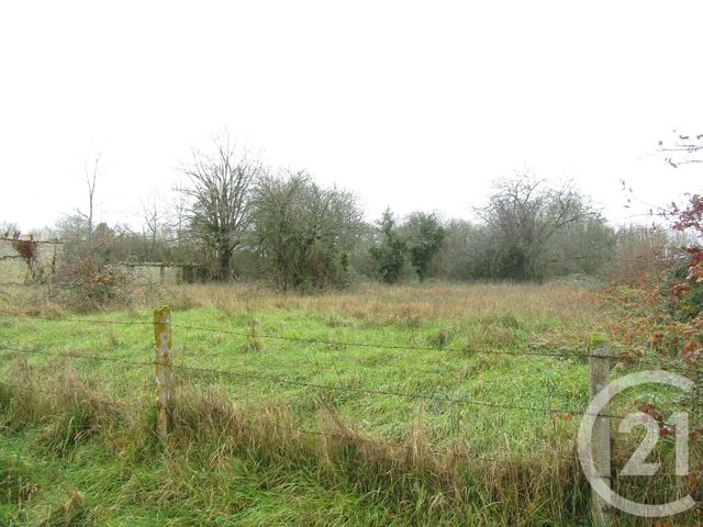 Afficher la photo en grand terrain à vendre - 2130.0 m2 - BRIEUIL SUR CHIZE - 79 - POITOU-CHARENTES - Century 21 I.C.S. Immobilier