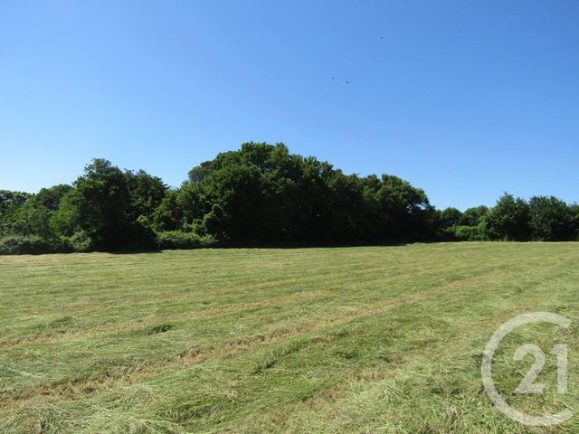terrain à vendre - 5395.0 m2 - SOMPT - 79 - POITOU-CHARENTES - Century 21 I.C.S. Immobilier