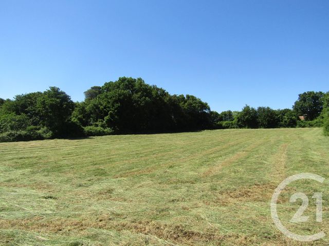terrain à vendre - 5395.0 m2 - SOMPT - 79 - POITOU-CHARENTES - Century 21 I.C.S. Immobilier