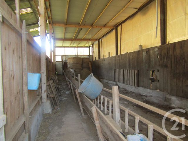 maison à vendre - 4 pièces - 79.0 m2 - LA FORET DE TESSE - 16 - POITOU-CHARENTES - Century 21 I.C.S. Immobilier