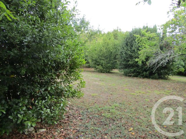 maison à vendre - 3 pièces - 82.34 m2 - LEZAY - 79 - POITOU-CHARENTES - Century 21 I.C.S. Immobilier
