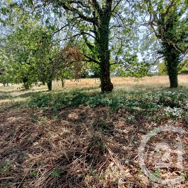 maison à vendre - 5 pièces - 136.7 m2 - VALDELAUME - 79 - POITOU-CHARENTES - Century 21 I.C.S. Immobilier